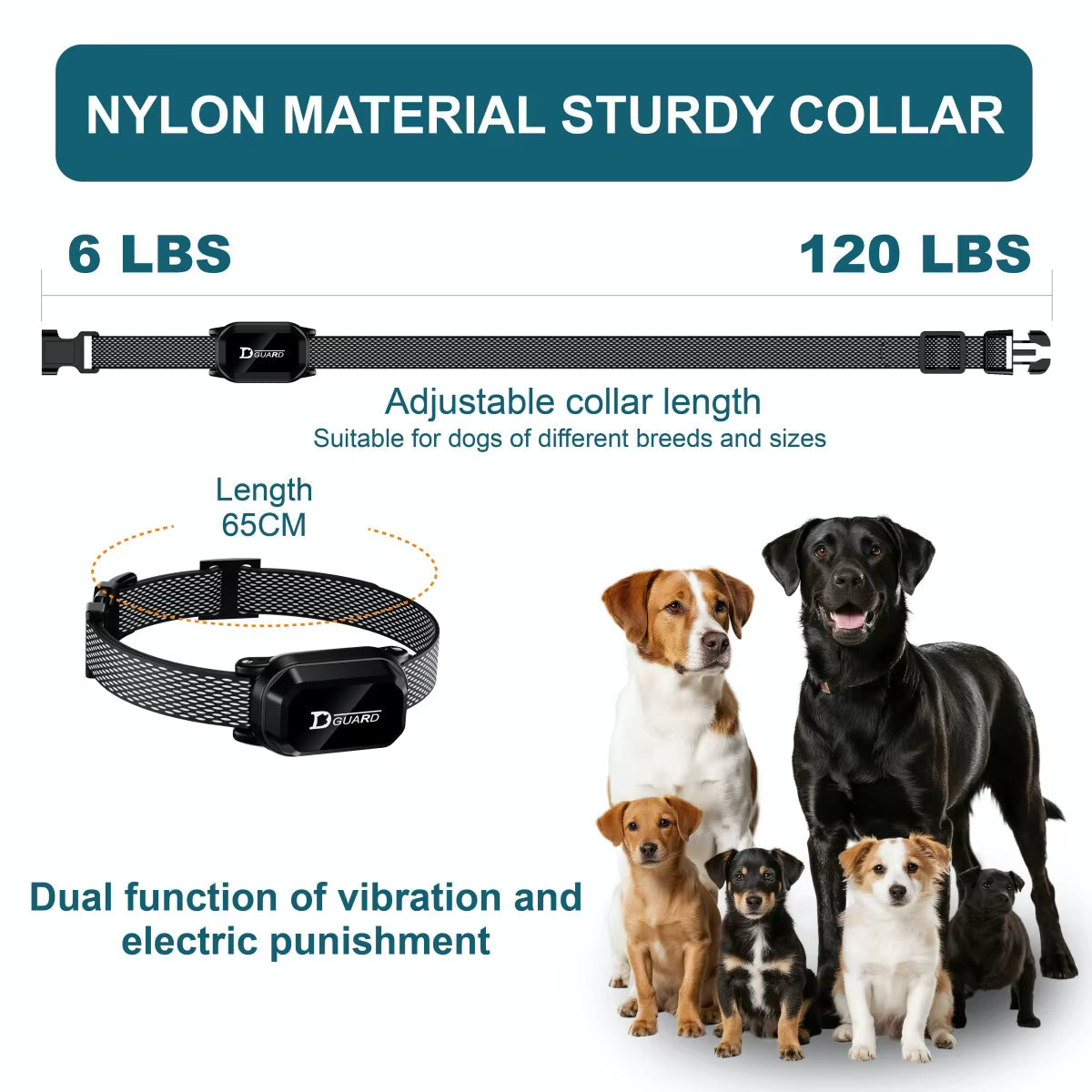ProTrain 800m Digital Dog Training Collar