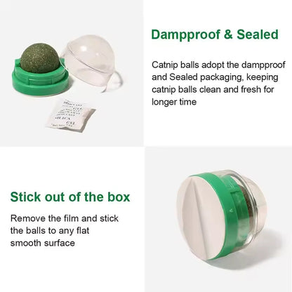 Catnip Lick Ball Toy for Cats